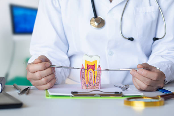 Best Emergency Root Canal Therapy in San Gabriel, CA